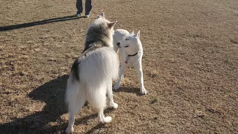 Bedford Bark Park - Bedford, TX