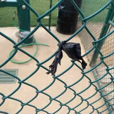Bedford Bark Park - Bedford, TX