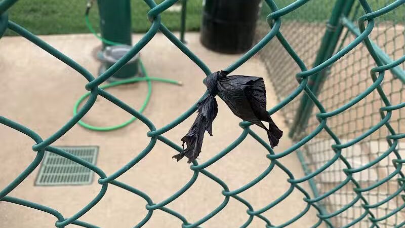 Bedford Bark Park - Bedford, TX