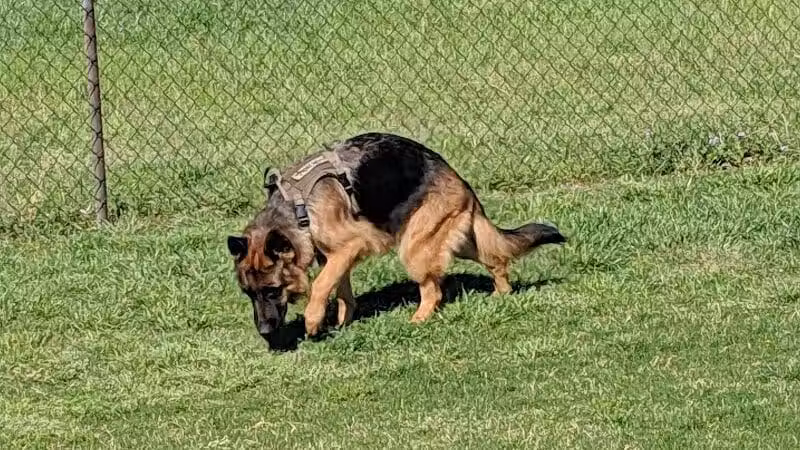 Bedford Bark Park - Bedford, TX