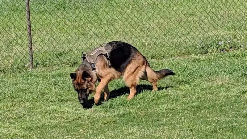 Bedford Bark Park - Bedford, TX