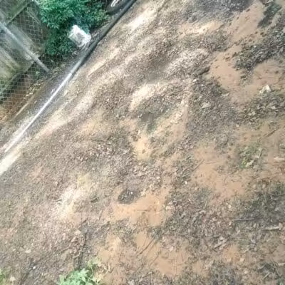 Bedford Bark Park - Bedford, TX
