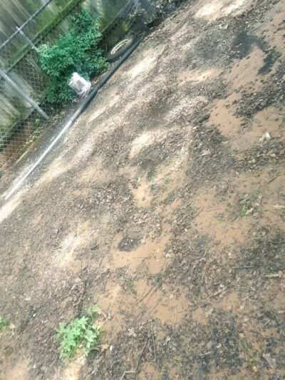 Bedford Bark Park - Bedford, TX