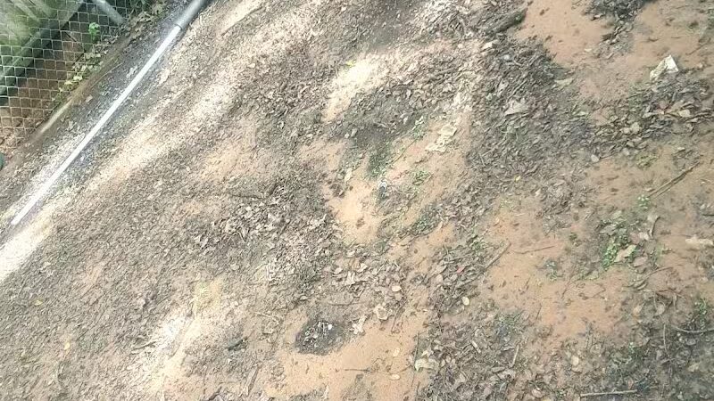 Bedford Bark Park - Bedford, TX