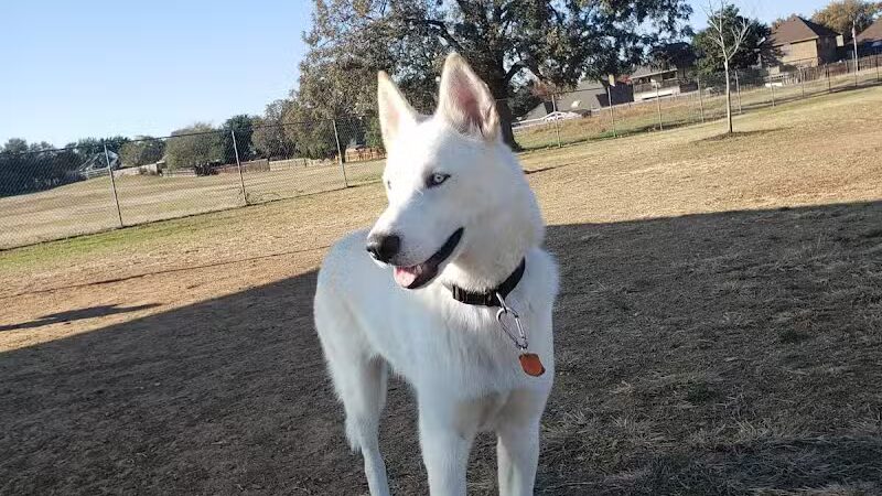 Bedford Bark Park - Bedford, TX