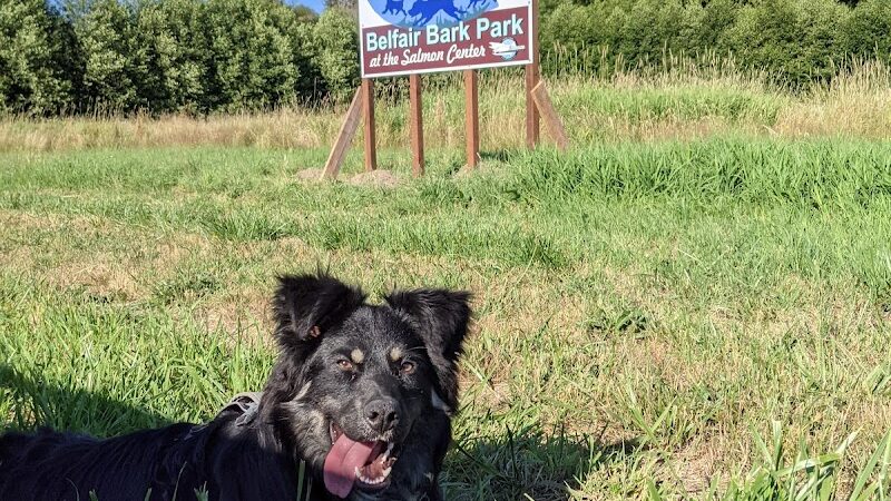 Belfair Bark Park