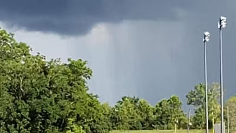 Cypress Park - Belle Chasse, LA