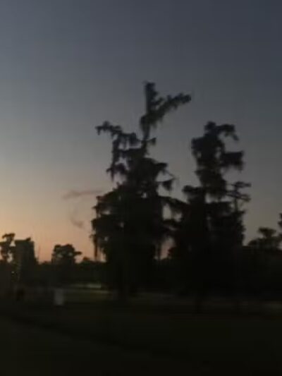 Cypress Park - Belle Chasse, LA