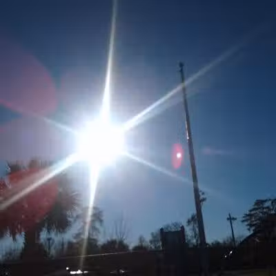 Cypress Park - Belle Chasse, LA