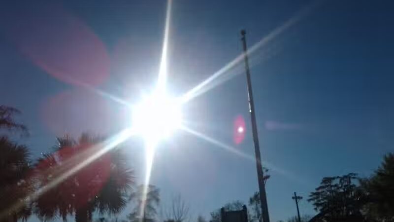 Cypress Park - Belle Chasse, LA