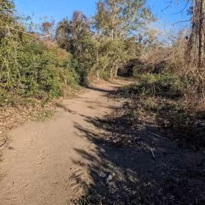 Woodlands Conservancy’s Woodlands Trail - Belle Chasse, LA