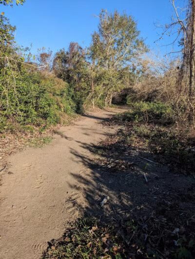 Woodlands Conservancy’s Woodlands Trail - Belle Chasse, LA