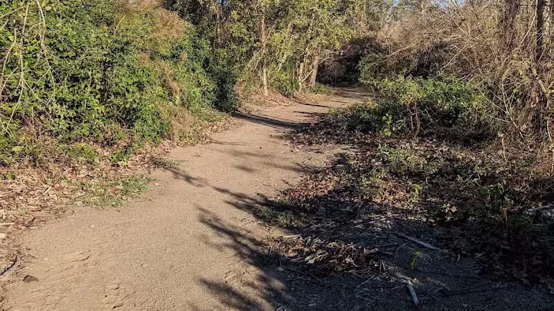 Woodlands Conservancy’s Woodlands Trail - Belle Chasse, LA