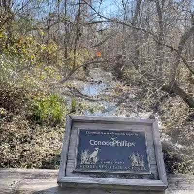 Woodlands Conservancy’s Woodlands Trail - Belle Chasse, LA