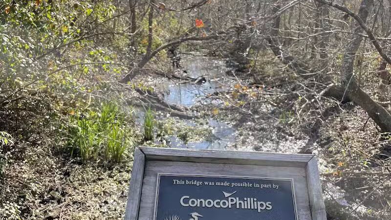 Woodlands Conservancy’s Woodlands Trail - Belle Chasse, LA