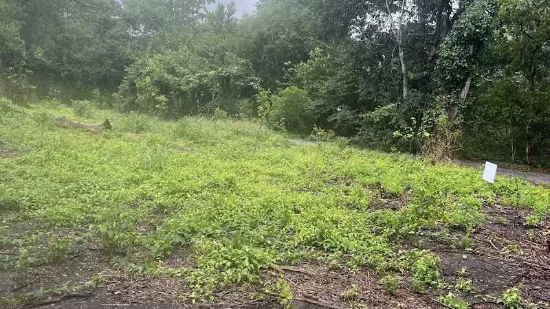 Woodlands Conservancy’s Woodlands Trail - Belle Chasse, LA