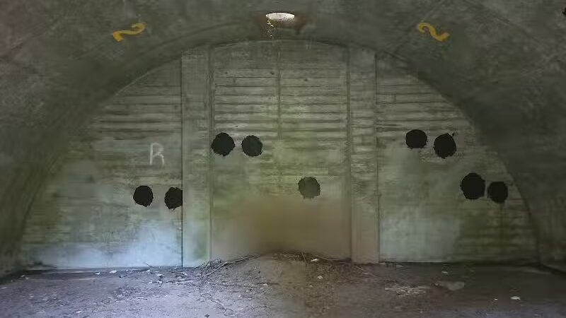 Woodlands Conservancy’s Woodlands Trail - Belle Chasse, LA