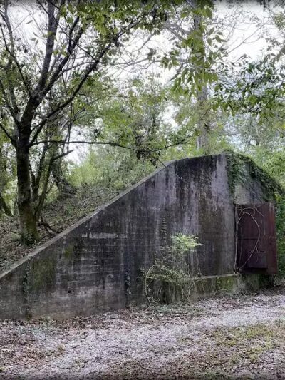 Woodlands Conservancy’s Woodlands Trail - Belle Chasse, LA