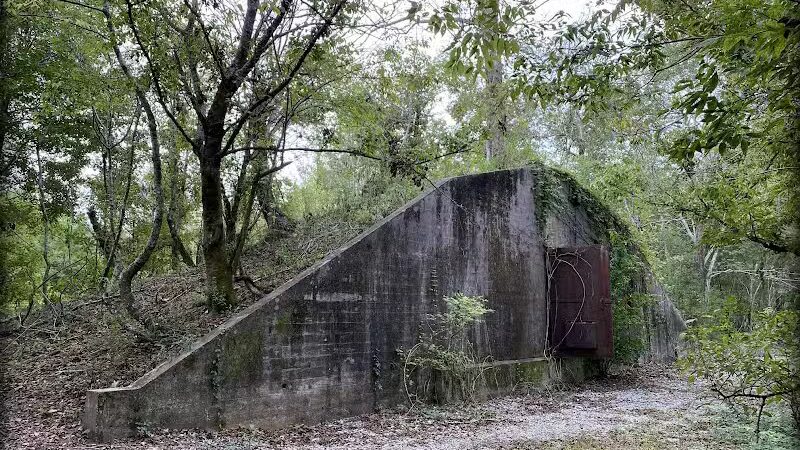 Woodlands Conservancy’s Woodlands Trail - Belle Chasse, LA