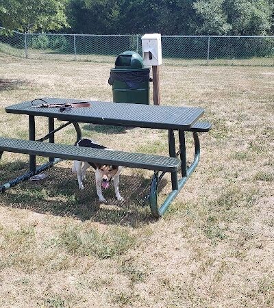 Montgomery Dog Park - Belle Mead, NJ