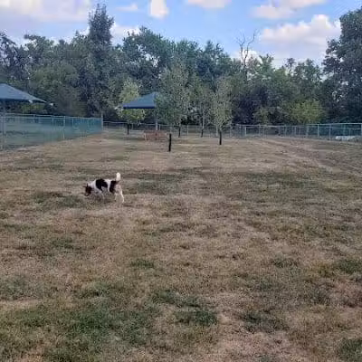 Montgomery Dog Park - Belle Mead, NJ