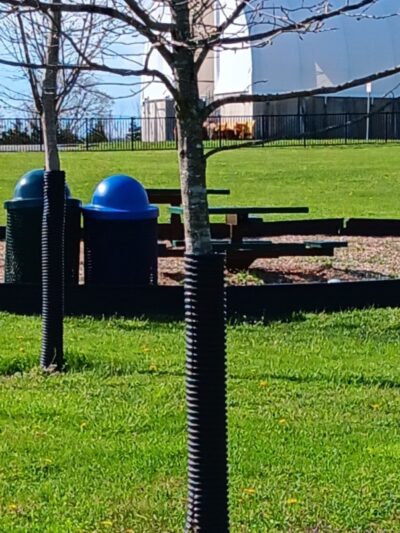 Montgomery Dog Park - Belle Mead, NJ