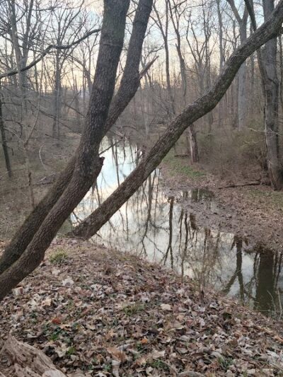 Montgomery Dog Park - Belle Mead, NJ