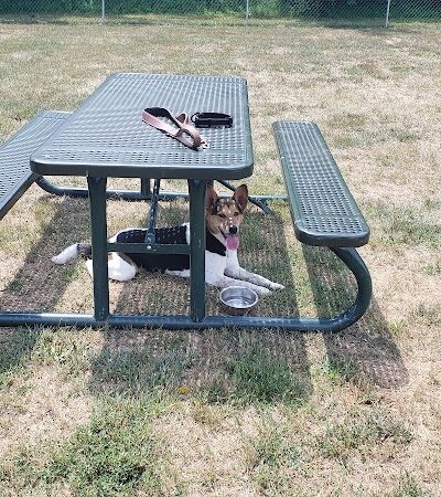 Montgomery Dog Park - Belle Mead, NJ