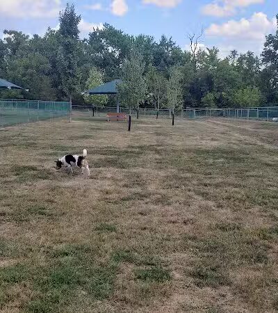 Montgomery Dog Park - Belle Mead, NJ