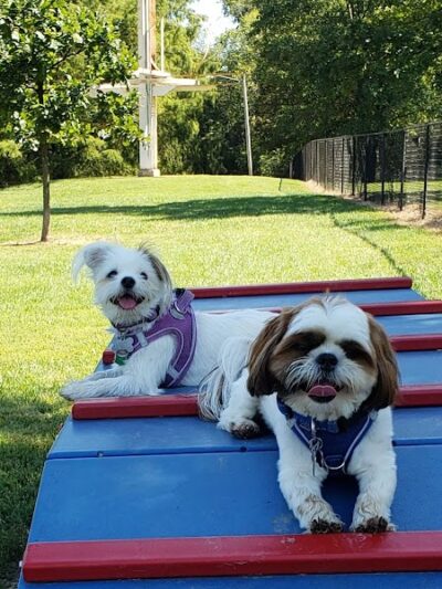 Rotary Dog Park (Member Only) - Belleville, IL