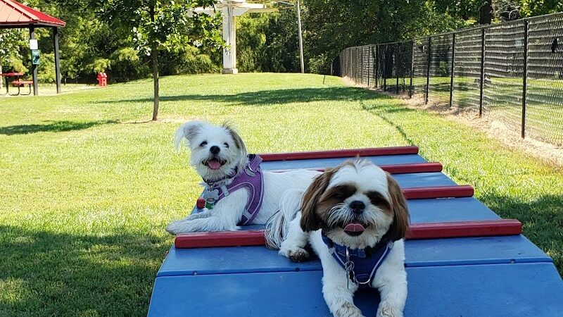 Rotary Dog Park (Member Only) - Belleville, IL