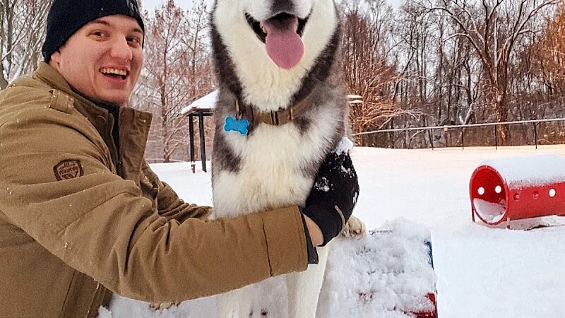 Rotary Dog Park (Member Only) - Belleville, IL