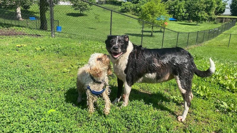 Rotary Dog Park (Member Only) - Belleville, IL