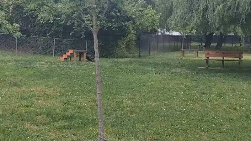 Borough of Bellmawr Dog Park - Bellmawr, NJ