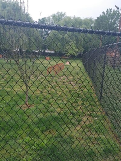 Borough of Bellmawr Dog Park - Bellmawr, NJ