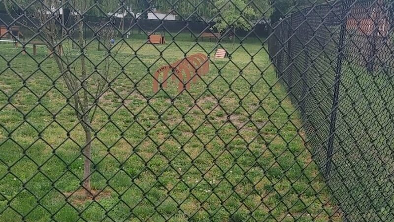 Borough of Bellmawr Dog Park - Bellmawr, NJ