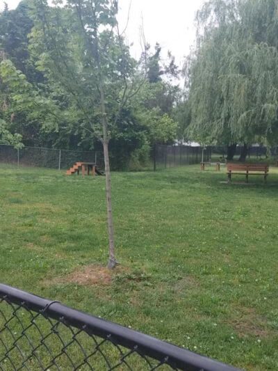 Borough of Bellmawr Dog Park - Bellmawr, NJ