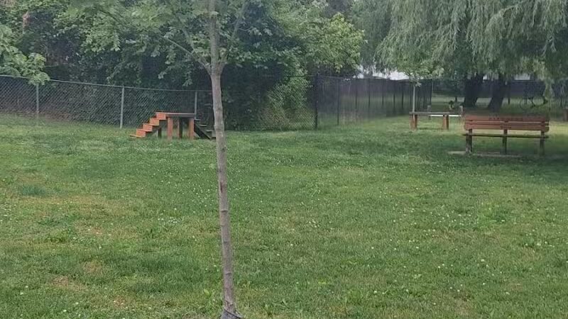 Borough of Bellmawr Dog Park - Bellmawr, NJ