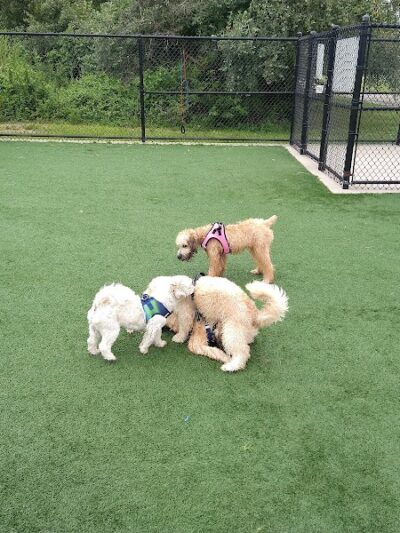 Newbridge Road Park - Bellmore, NY