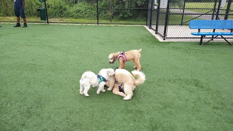 Newbridge Road Park - Bellmore, NY