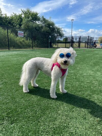 Newbridge Road Park - Bellmore, NY