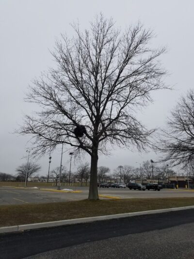 Newbridge Road Park - Bellmore, NY