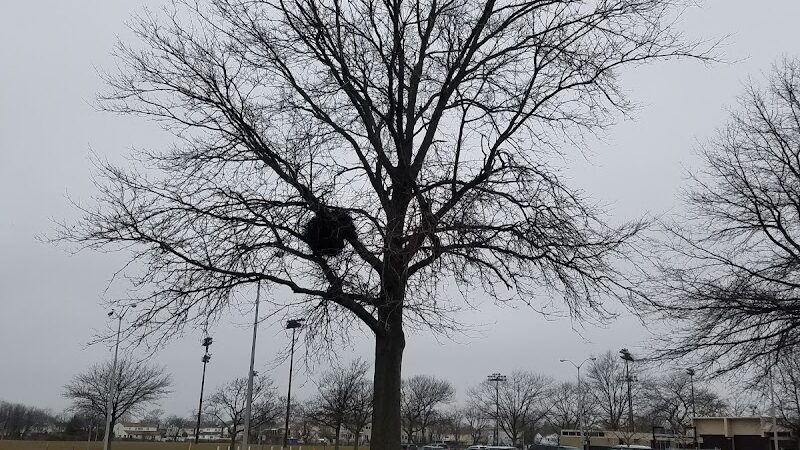 Newbridge Road Park - Bellmore, NY