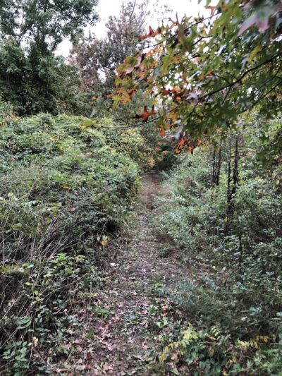 Meroke Preserve - Bellmore, NY