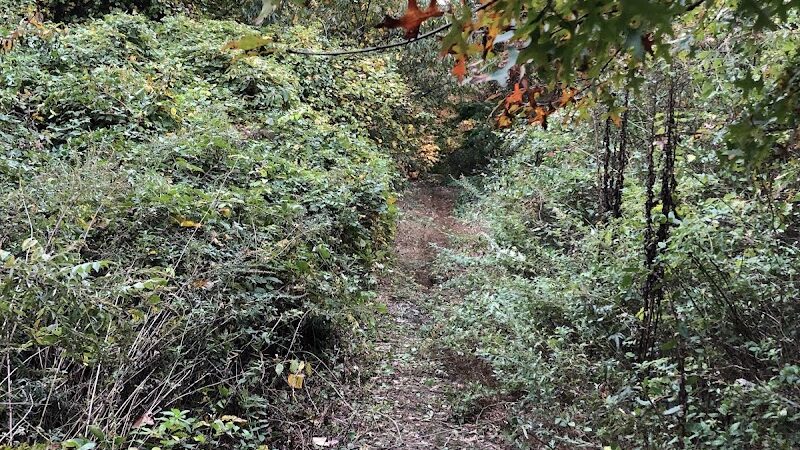 Meroke Preserve - Bellmore, NY