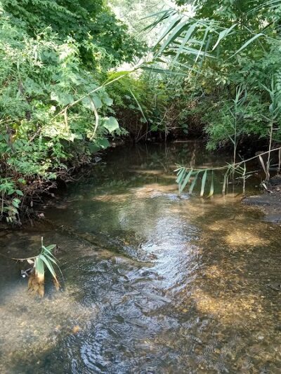 Meroke Preserve - Bellmore, NY