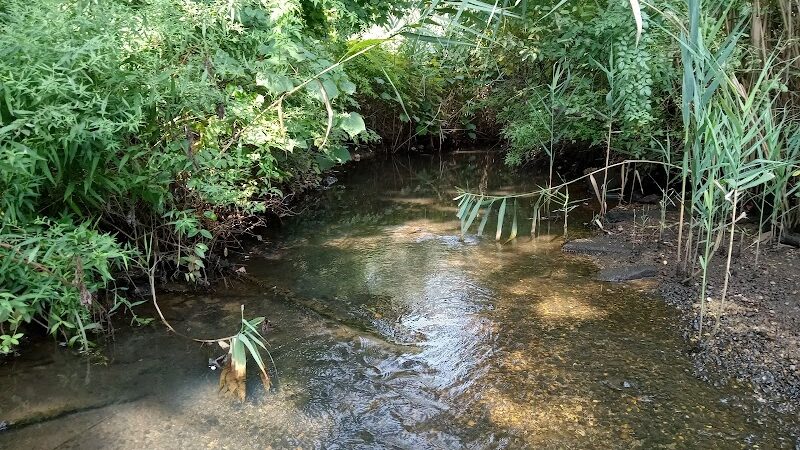 Meroke Preserve - Bellmore, NY