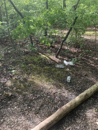 Meroke Preserve - Bellmore, NY