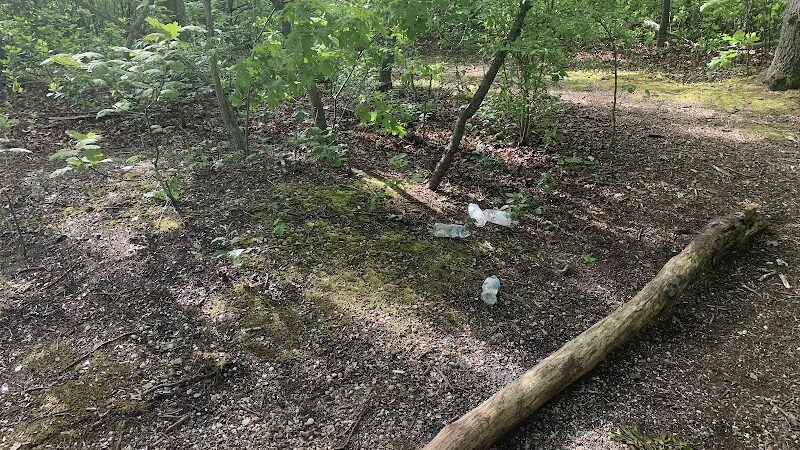 Meroke Preserve - Bellmore, NY