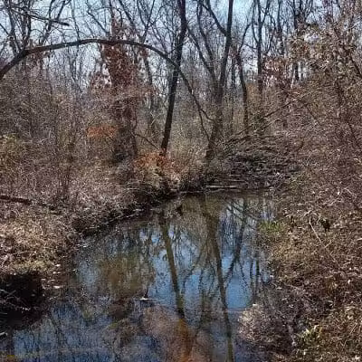 Meroke Preserve - Bellmore, NY